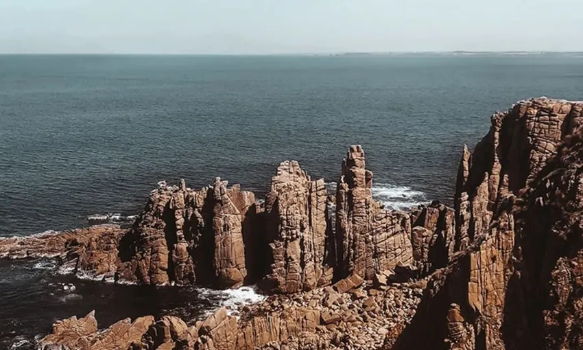 Phillip Island Day Tour with Hike - Departs Melbourne