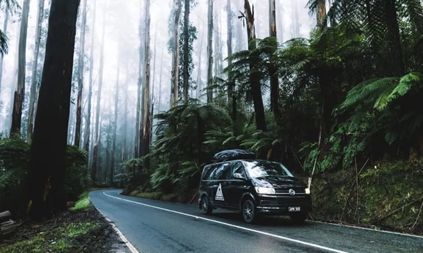 Phillip Island Day Tour with Hike - Departs Melbourne