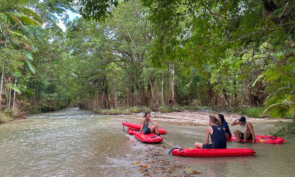 Mossman Gorge Day Tour with River Drifting 