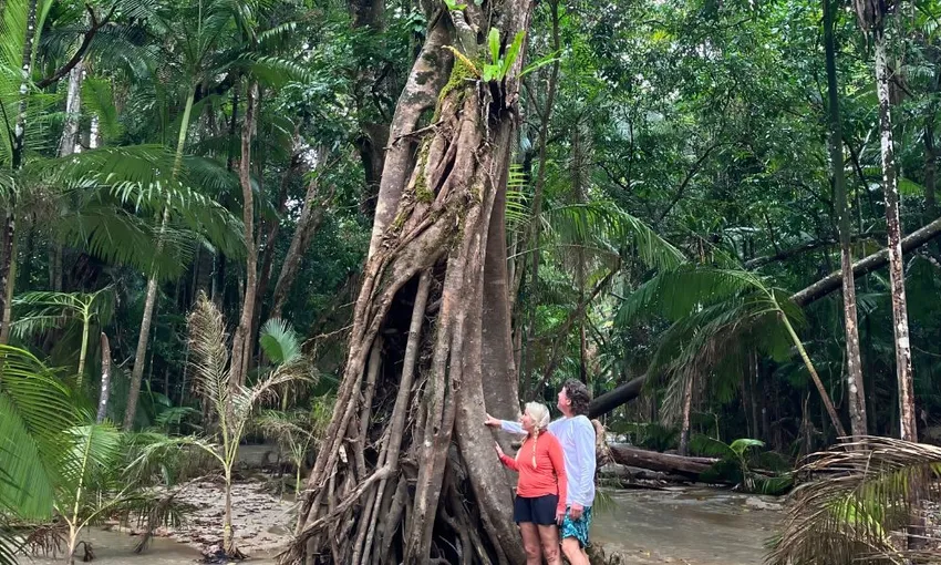 Mossman Gorge Day Tour with River Drifting 