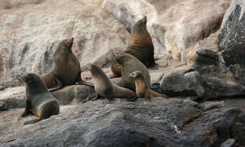 Wineglass Bay Lunch Cruise with Sky Lounge Access