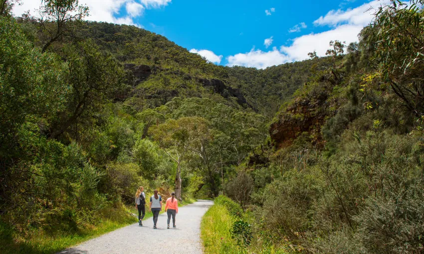 Morialta Wilderness and Wildlife Hike Tour, 3.5 Hours - Adelaide