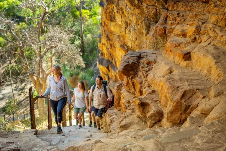 Morialta Wilderness and Wildlife Hike Tour, 3.5 Hours - Adelaide
