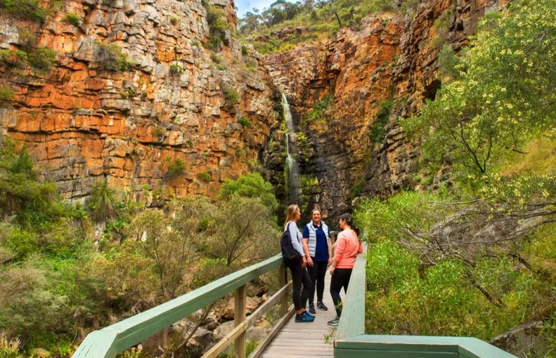 Morialta Wilderness and Wildlife Hike Tour, 3.5 Hours - Adelaide