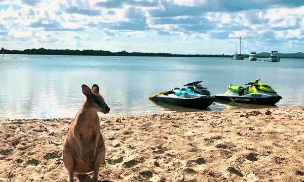 Jet Ski Safari with Island Stop - 90 Minutes 