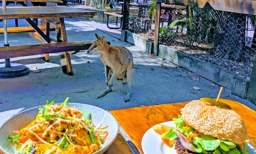 Jet Ski Safari with Island Stop - 90 Minutes 