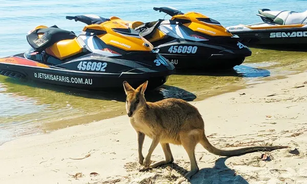 Ultimate Jet Ski Safari with Passenger - 2.5 Hours 