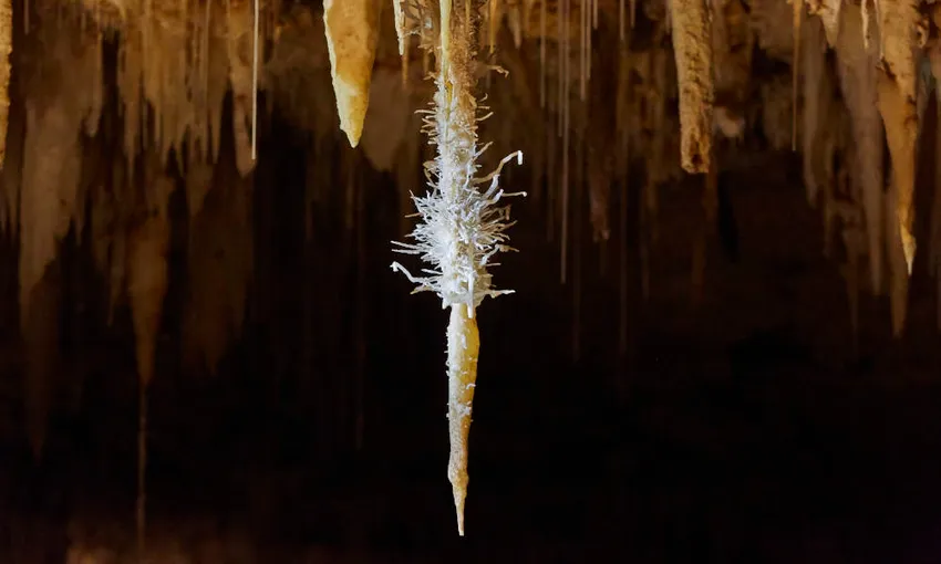 Guided Jewel Cave Tour in Augusta, 1 Hour 