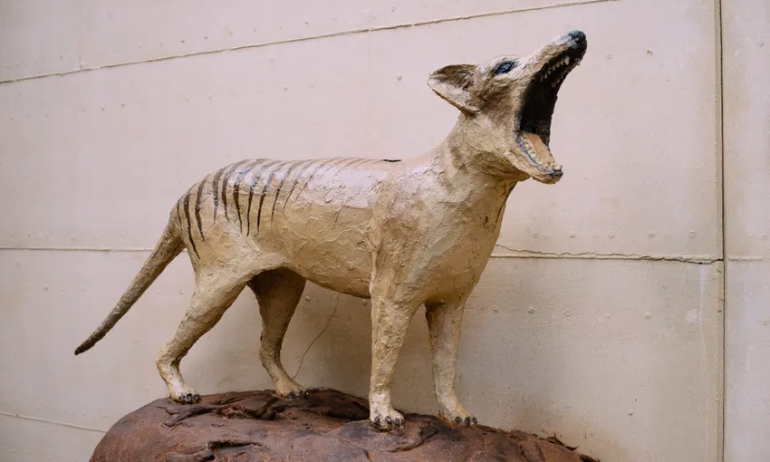 Guided Jewel Cave Tour in Augusta, 1 Hour 