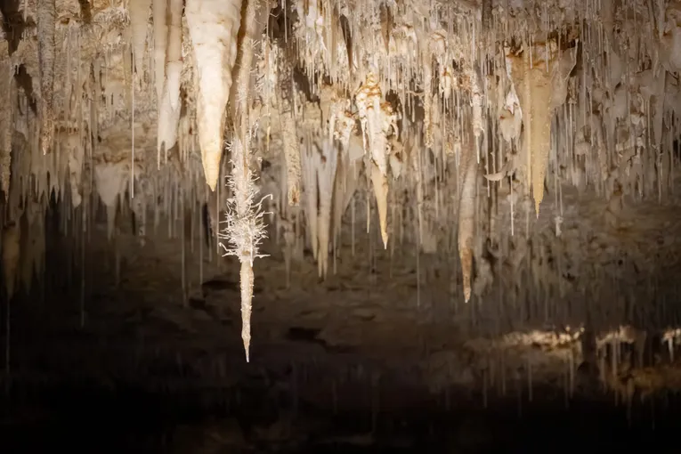 Guided Jewel Cave Tour in Augusta, 1 Hour