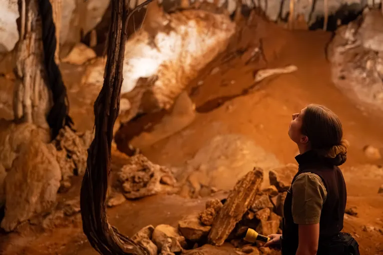Guided Jewel Cave Tour in Augusta, 1 Hour 