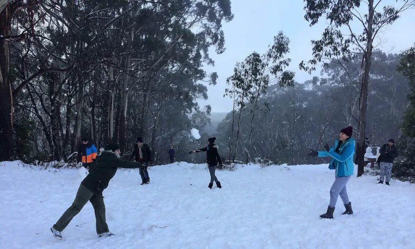 Mount Buller Snow Day Adventure - Departs Melbourne