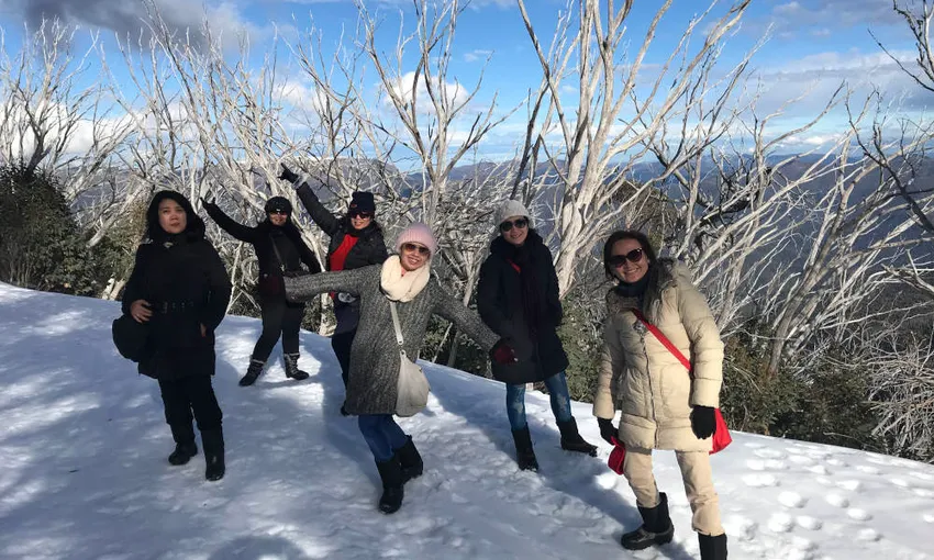 Mount Buller Snow Day Adventure - Departs Melbourne