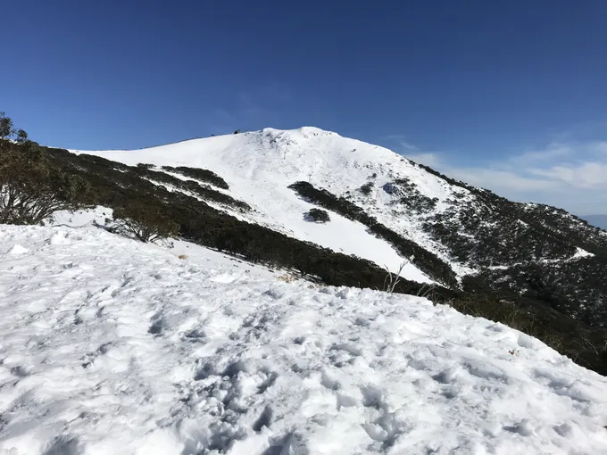 Mount Buller Snow Day Adventure - Departs Melbourne
