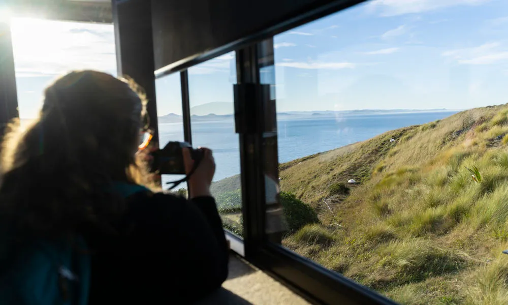 Dunedin Royal Albatross Viewing Tour - Book Now | Experience Oz + NZ-2