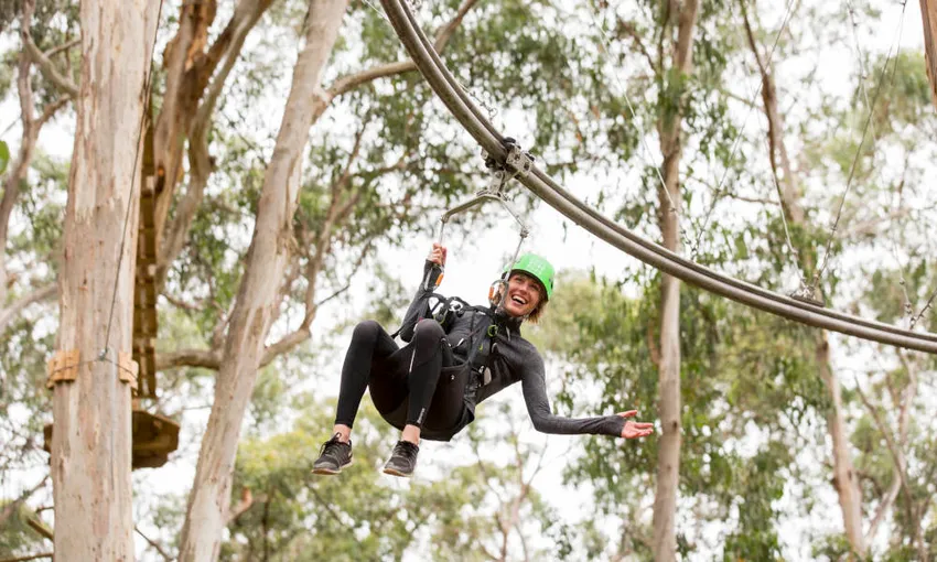 High Ropes Adventure Course, 2 Hours - Lorne