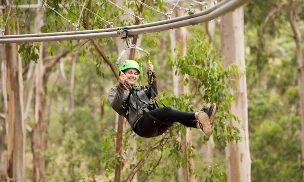High Ropes Adventure Course, 2 Hours - Lorne