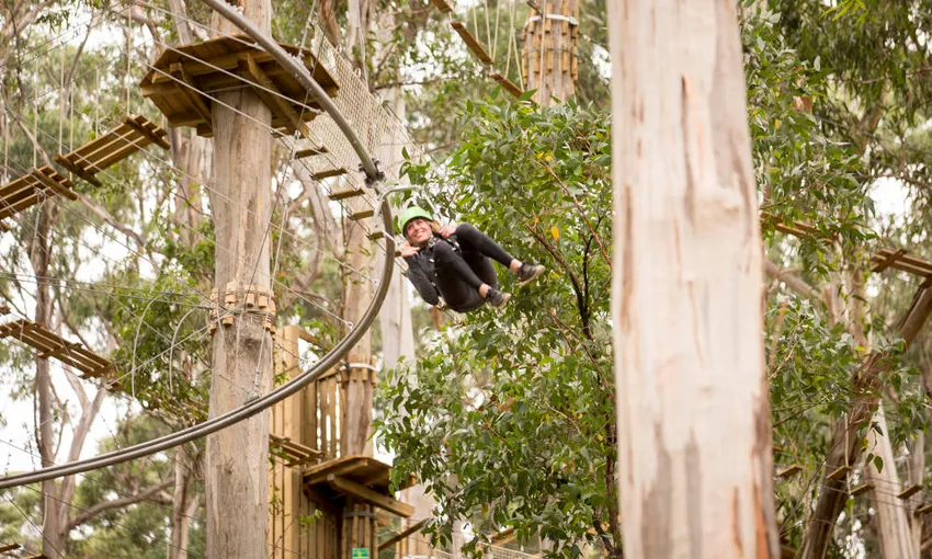 High Ropes Adventure Course, 2 Hours - Lorne