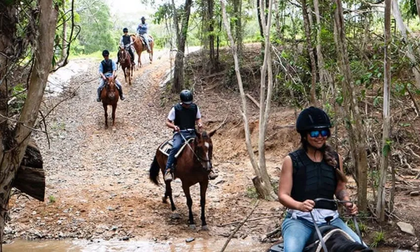 Horse Riding Tour with Petting Zoo Entry - Cairns