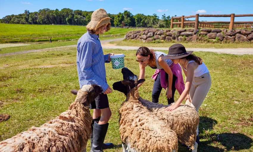 Horse Riding Tour with Petting Zoo Entry - Cairns