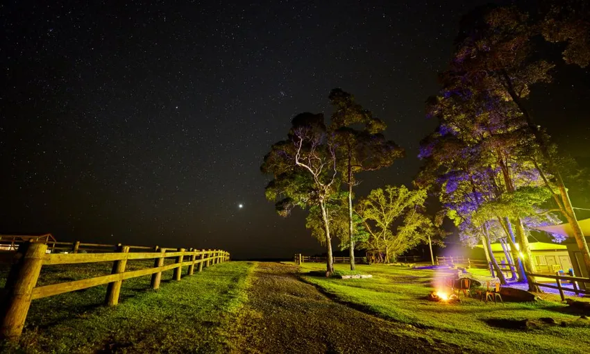 Horse Riding Tour with Petting Zoo Entry - Cairns