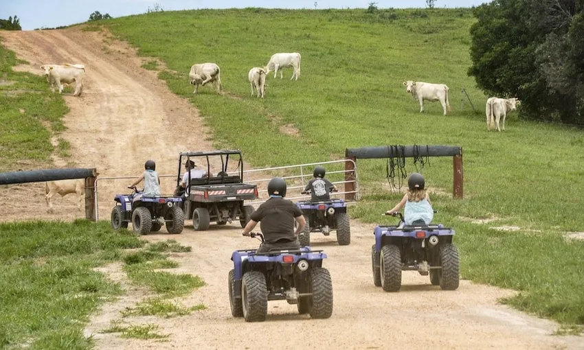 ATV Tour with Petting Zoo Entry - Cairns