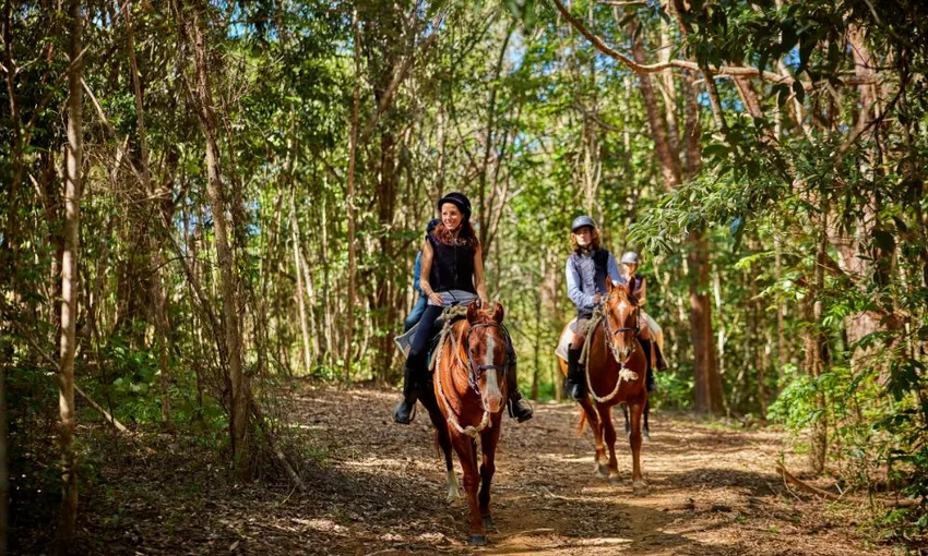 Horse Riding & ATV Tour with Petting Zoo Entry 