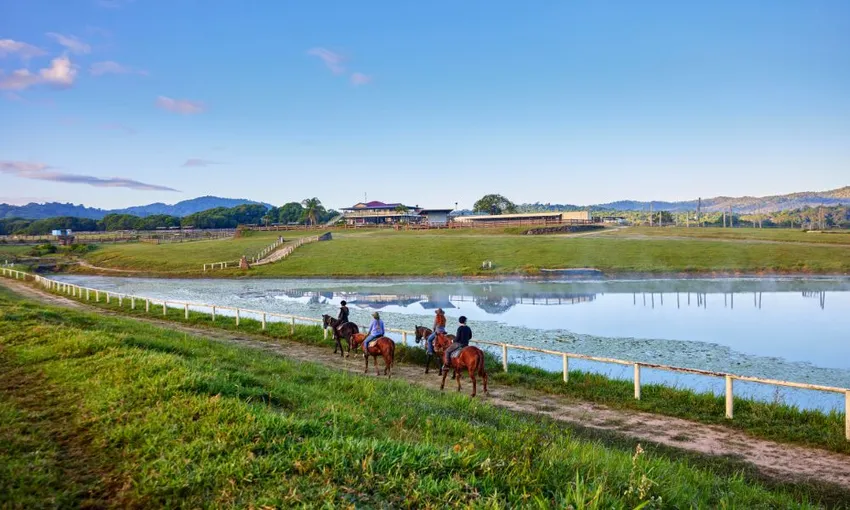 Horse Riding & ATV Tour with Petting Zoo Entry 