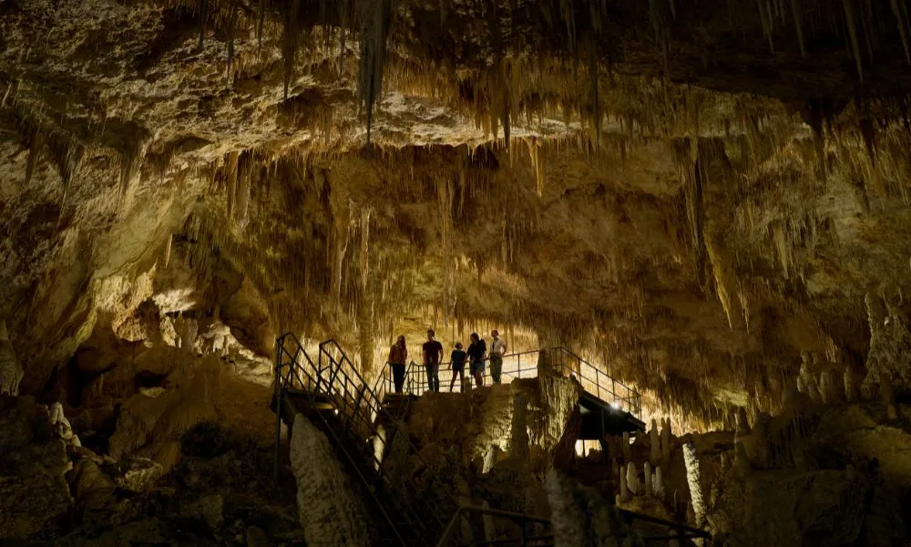 Margaret River Mammoth Caves Tour