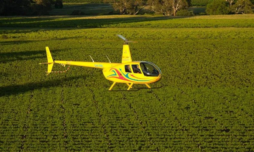 Barossa Valley Private Scenic Helicopter Flight, 20 Minutes 