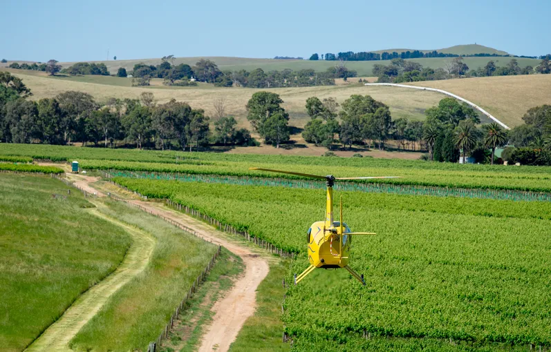Barossa Valley Private Scenic Helicopter Flight, 20 Minutes 
