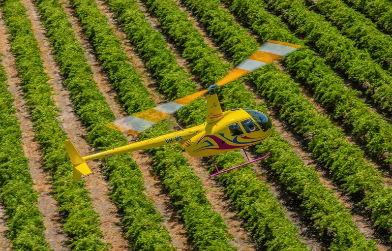 Barossa Valley Private 30 Minute Scenic Flight - Up to 3 persons