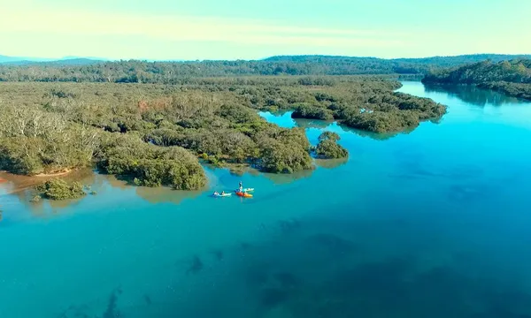 Batemans Bay Glass Bottom Kayak Wildlife Tour, 2 Hours