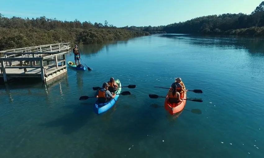 Batemans Bay Glass Bottom Kayak Wildlife Tour, 2 Hours