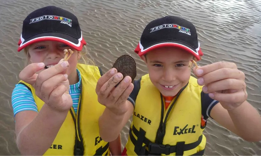 Batemans Bay Glass Bottom Kayak Wildlife Tour, 2 Hours