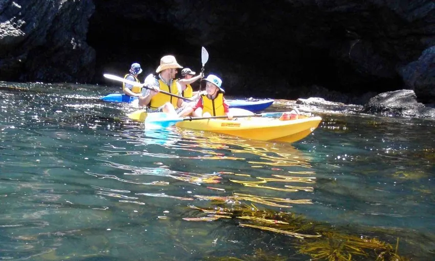 Batemans Bay Glass Bottom Kayak Wildlife Tour, 2 Hours