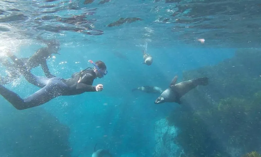 Batemans Bay Marine Park Half Day Kayak Tour