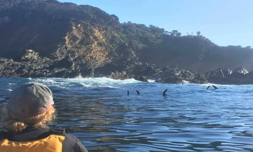 Batemans Bay Marine Park Half Day Kayak Tour