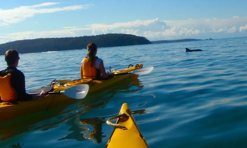 Batemans Bay Marine Park Half Day Kayak Tour