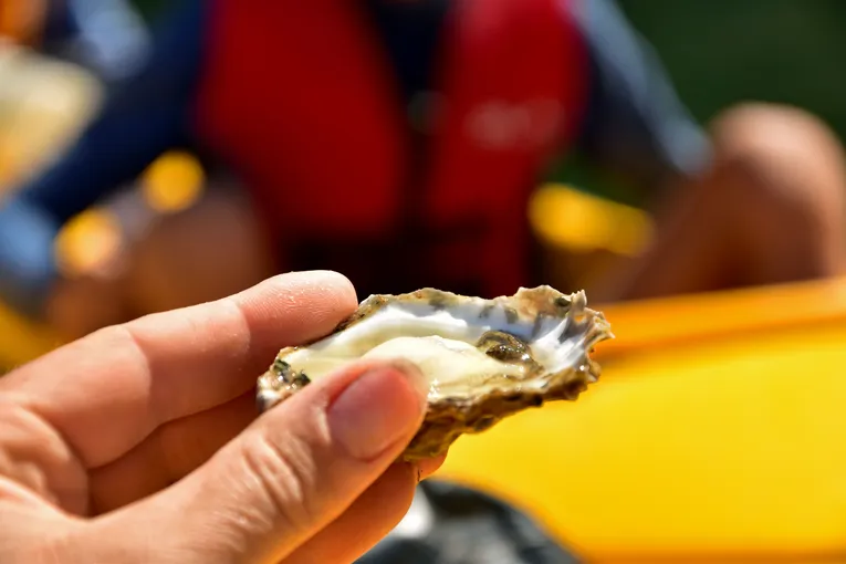 Oyster Tasting Kayak Tour - Batemans Bay