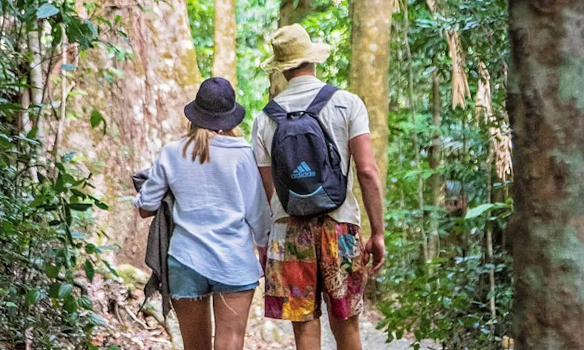 Aboriginal Cassowary Adventure & Chasing Waterfalls Day Tour - Cairns