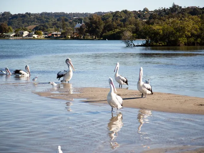 Tweed River 8 Seater Fishing Boat Hire - Full Day