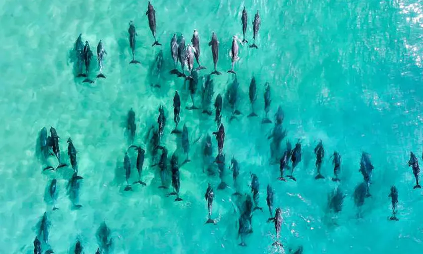 Coral Reef Scenic Flight - 30 minutes