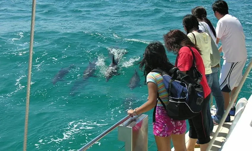 Nelson Bay Marine Sailing Cruise with Snorkelling