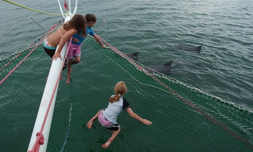 Nelson Bay Marine Sailing Cruise with Snorkelling