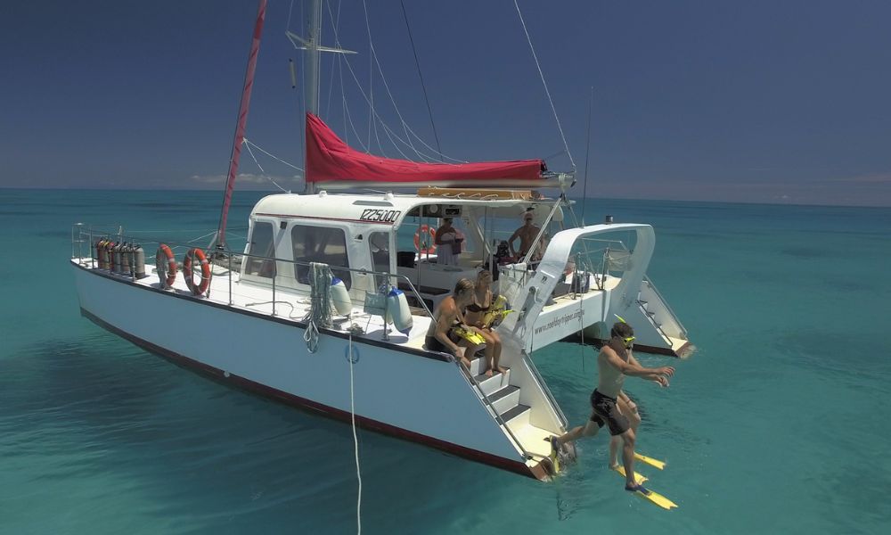 Great Barrier Reef Sail, Snorkel and Scuba Dive Tour - Full Day