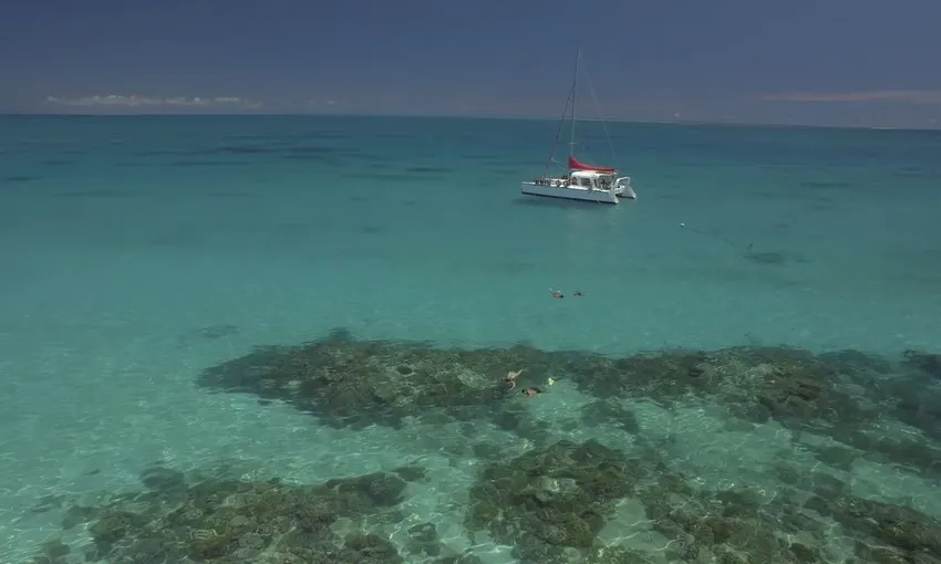 Great Barrier Reef Sail, Snorkel and Scuba Dive Tour - Full Day