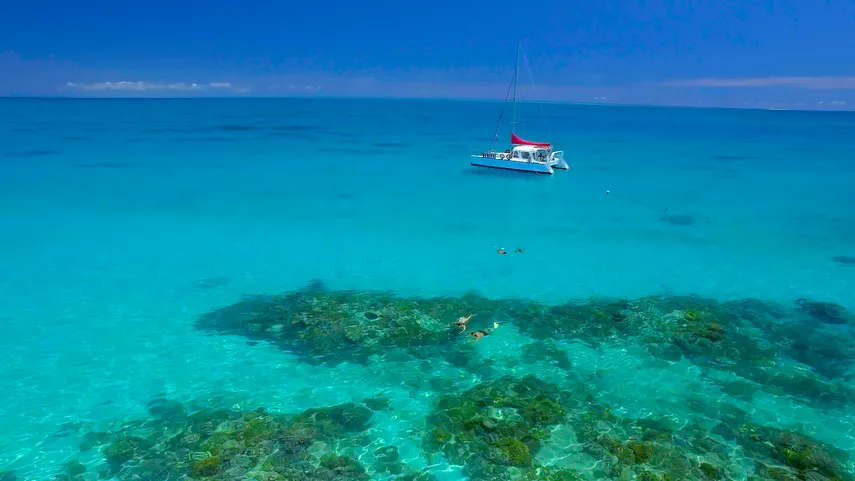 Great Barrier Reef Sail, Snorkel and Scuba Dive Tour - Full Day