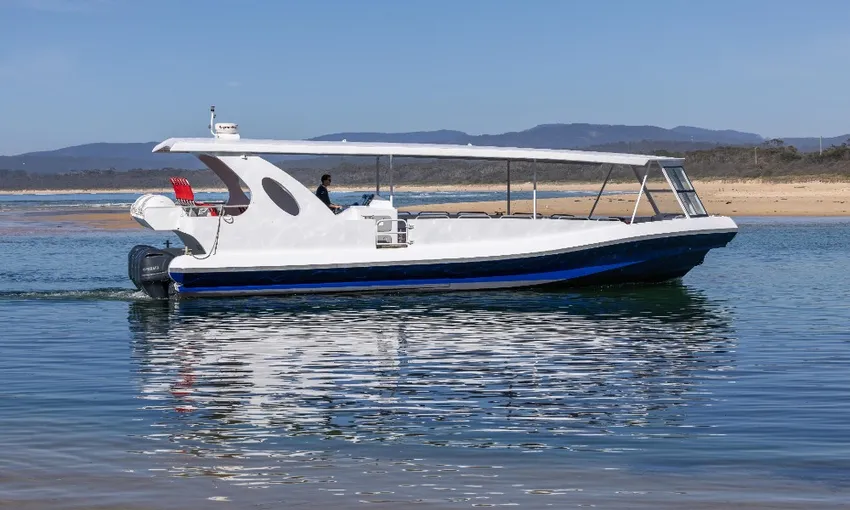 Merimbula Whale Watching Adventure, 2 Hours