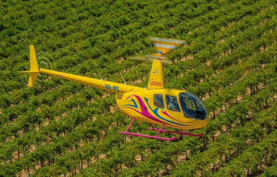 Barossa Valley Private 15 Minute Scenic Flight - Up to 3 persons